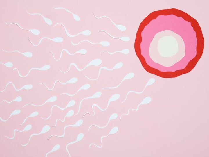 Acupuncture for Fertility: Clinical Evidence and Treatment Protocols