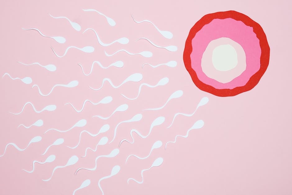 Acupuncture for Fertility: Clinical Evidence and Treatment Protocols