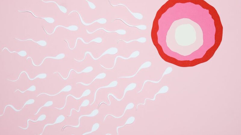 Recurrent Miscarriage: Integrative Testing and Treatment Protocols